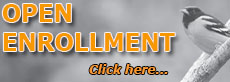 Open Enrollment