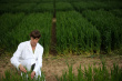 Biologist in Grass Field